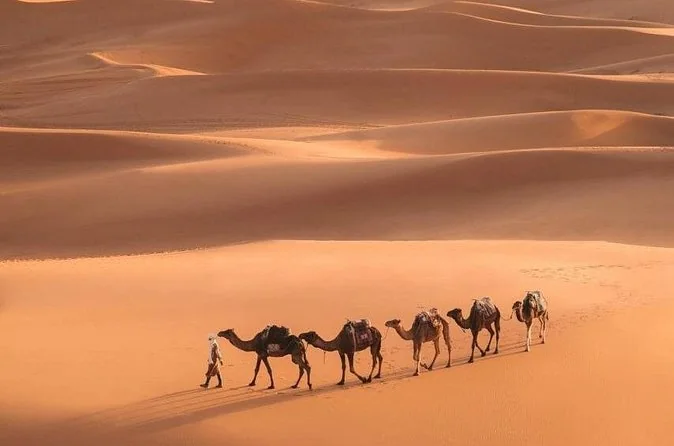 Fès à Marrakech : circuit économique de 3 jours dans le désert