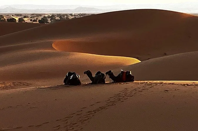 Fès à Marrakech : circuit partagé de 3 jours dans le désert