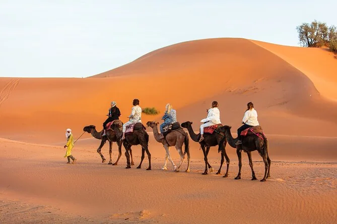 Una fila de camellos guiada por una duna naranja bajo un cielo azul