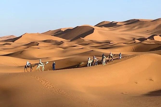 A small camel caravan crossing wide orange dunes